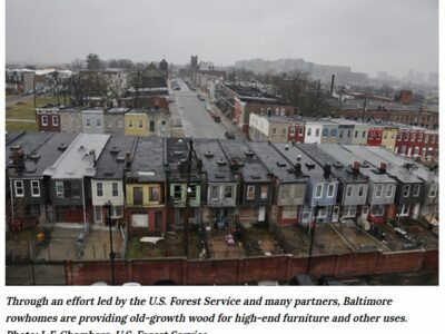 Foresters, Furniture makers, City Leaders Create 3rd life for Baltimore’s urban wood